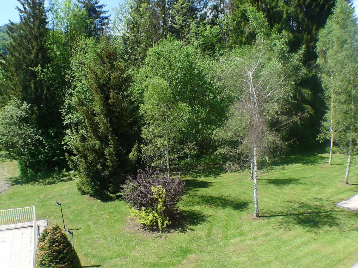 Studio Samoëns, 1 pièce, 4 personnes - FR-1-629-92 Extérieur photo